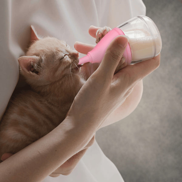 Mini biberon chaton pour nourrir chaton en sevrage facilement prise en main ergonomique
