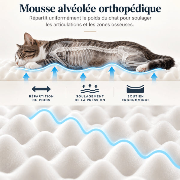Mousse alvéolée orthopédique pour chat répartissant le poids et soulageant la pression