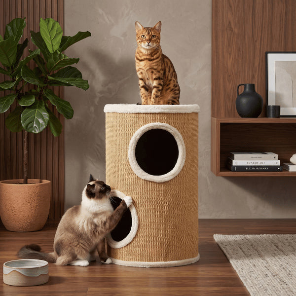 Niches pour chat permettant repos, griffades et observation sur plusieurs niveaux