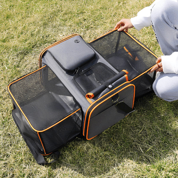 Panier de transport pour chat extensible installé dehors pour les déplacements quotidiens