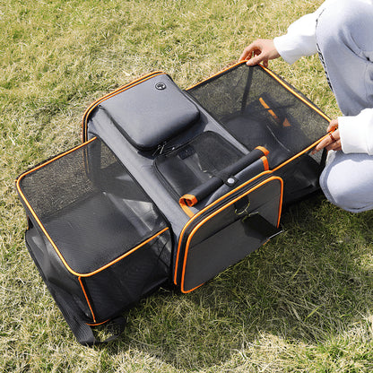 Panier de transport pour chat extensible installé dehors pour les déplacements quotidiens