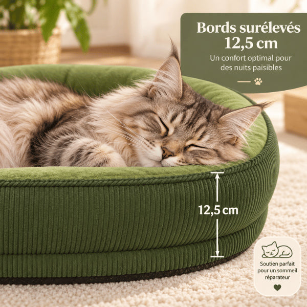 Panier pour chat avec rebords surélevés de 12,5 cm soutenant le repos