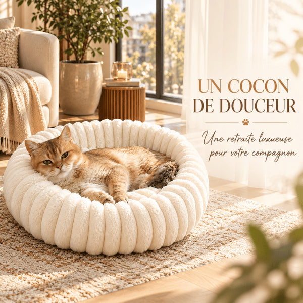 Panier rond pour chat moelleux créant une retraite enveloppante propice au repos