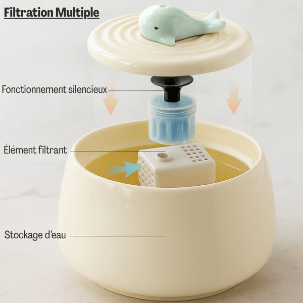 Structure interne de la filtration de la pompe fontaine eau chat