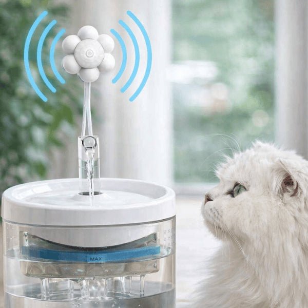 Pompe pour fontaine à eau chat avec détecteur de mouvement activé devant un chat