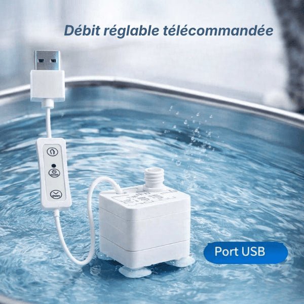 Pompe pour fontaine à eau pour chat installée dans une fontaine à eau