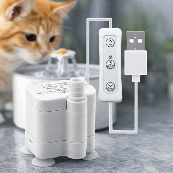 Pompe pour fontaine à eau pour chat utilisée au quotidien devant un chat