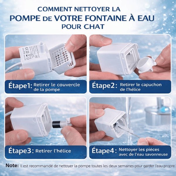 Étapes pour nettoyer correctement une pompe pour fontaine eau chat