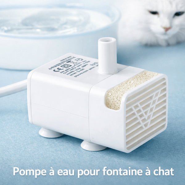Pompe pour fontaine eau chat utilisée au quotidien avec un chat