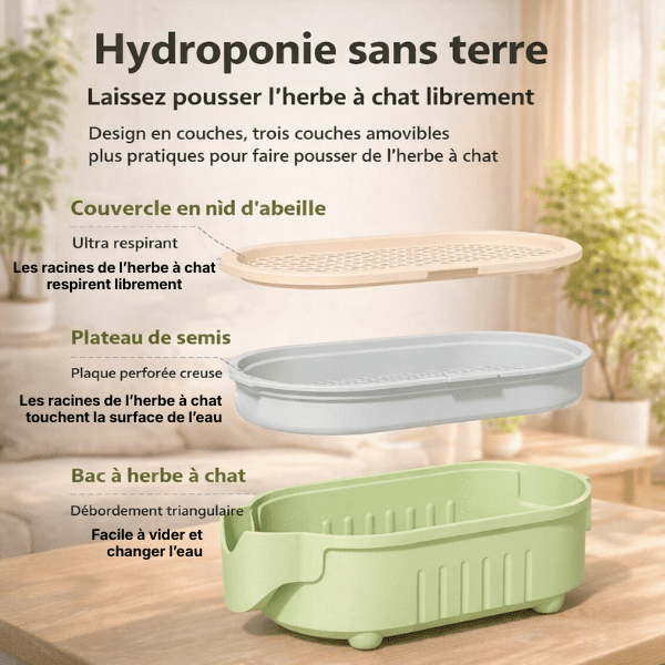 Système à trois plateaux amovibles du bac de culture herbe à chat PurrGarden™