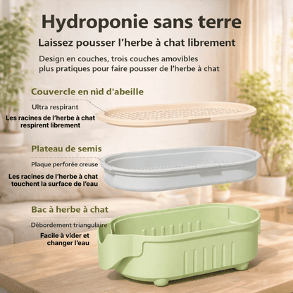 Système à trois plateaux amovibles du bac de culture herbe à chat PurrGarden™