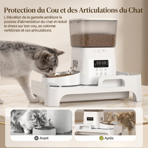 Support distributeur gamelle illustrant avantage d'une alimentation surélevée face au repas directement au sol