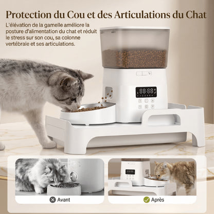 Support distributeur gamelle illustrant avantage d'une alimentation surélevée face au repas directement au sol