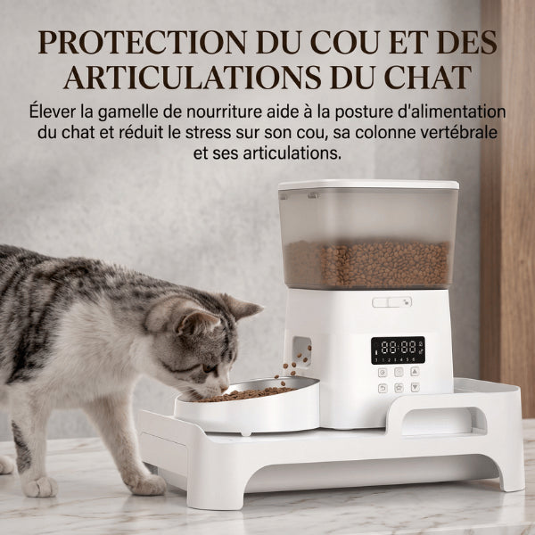 Support distributeur gamelle surélevé offrant au chat une position de repas confortable