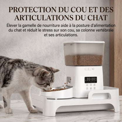 Support distributeur gamelle surélevé offrant au chat une position de repas confortable