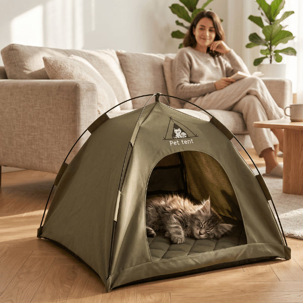 Tente pour chaton kaki offrant refuge calme tapis douillet et espace respirant